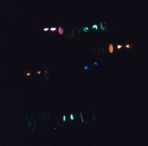 Toilet rolls and glow sticks for Critters in the Dark